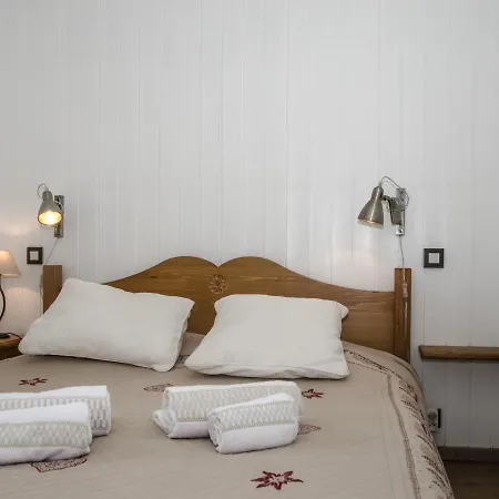 A Avec Wifi Et Animaux Acceptes - Fr-1-343-216 * Chamonix